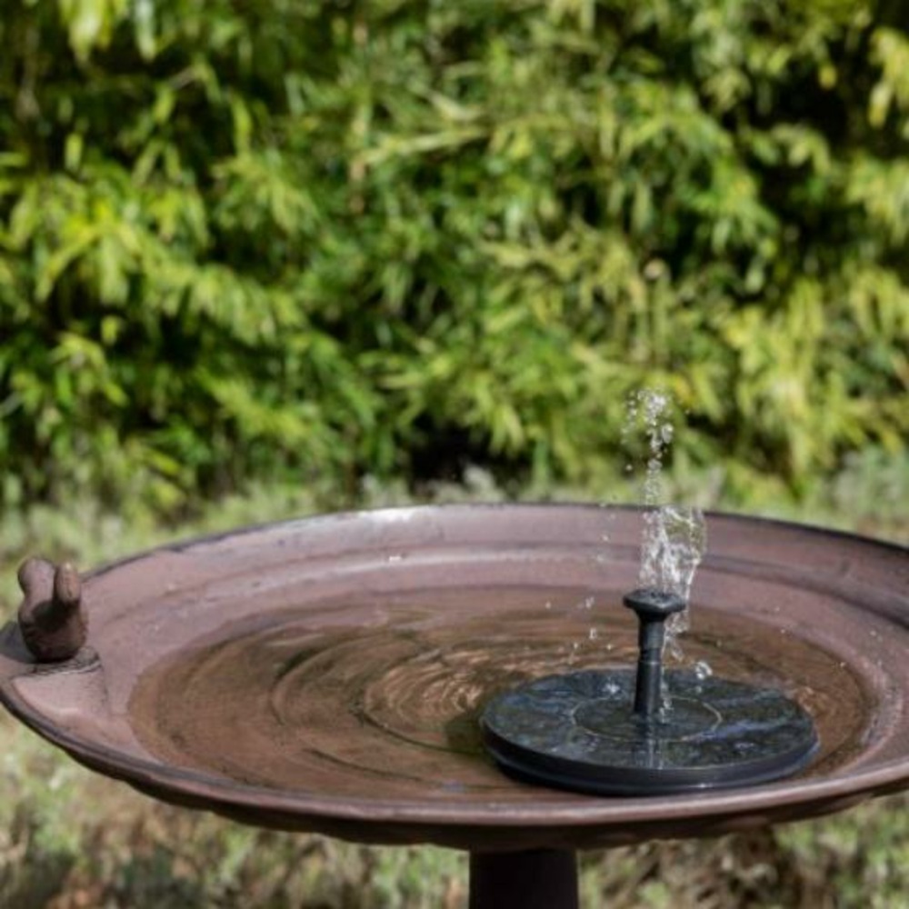 Fontaine solaire pour bain d'oiseau