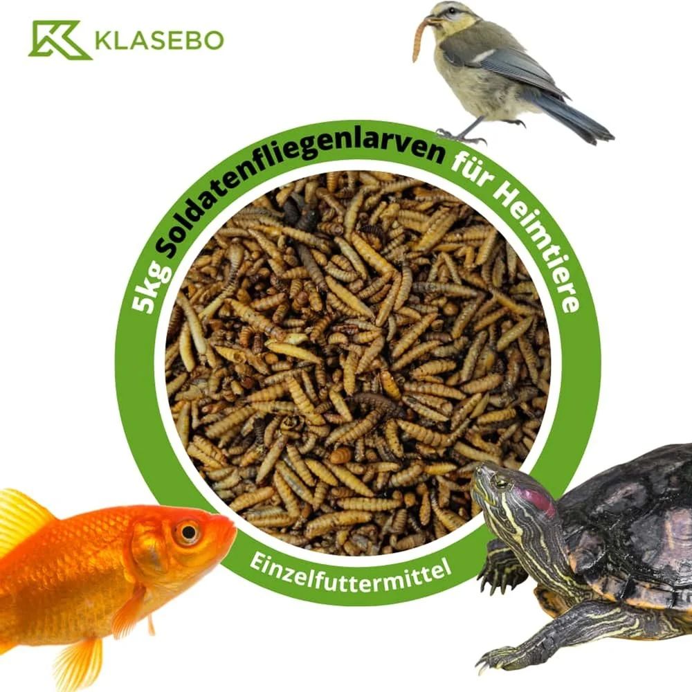 Larves de mouches soldat séchées, 5 kg, 28,5 litres, nourriture insectes terrarium