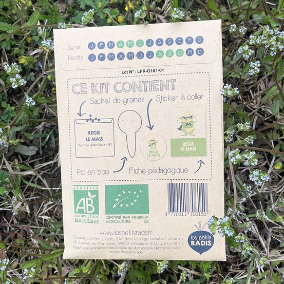 Mini kit de graines - régis le maïs bio