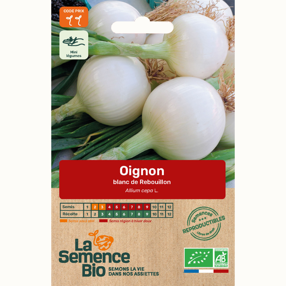 Oignon blanc de rebouillon - graines bio
