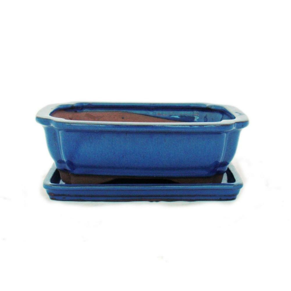 Bol à bonsaï avec soucoupe taille 3 - bleu - carré - modèle g12 - l 18cm - l 14cm - h 5,5cm