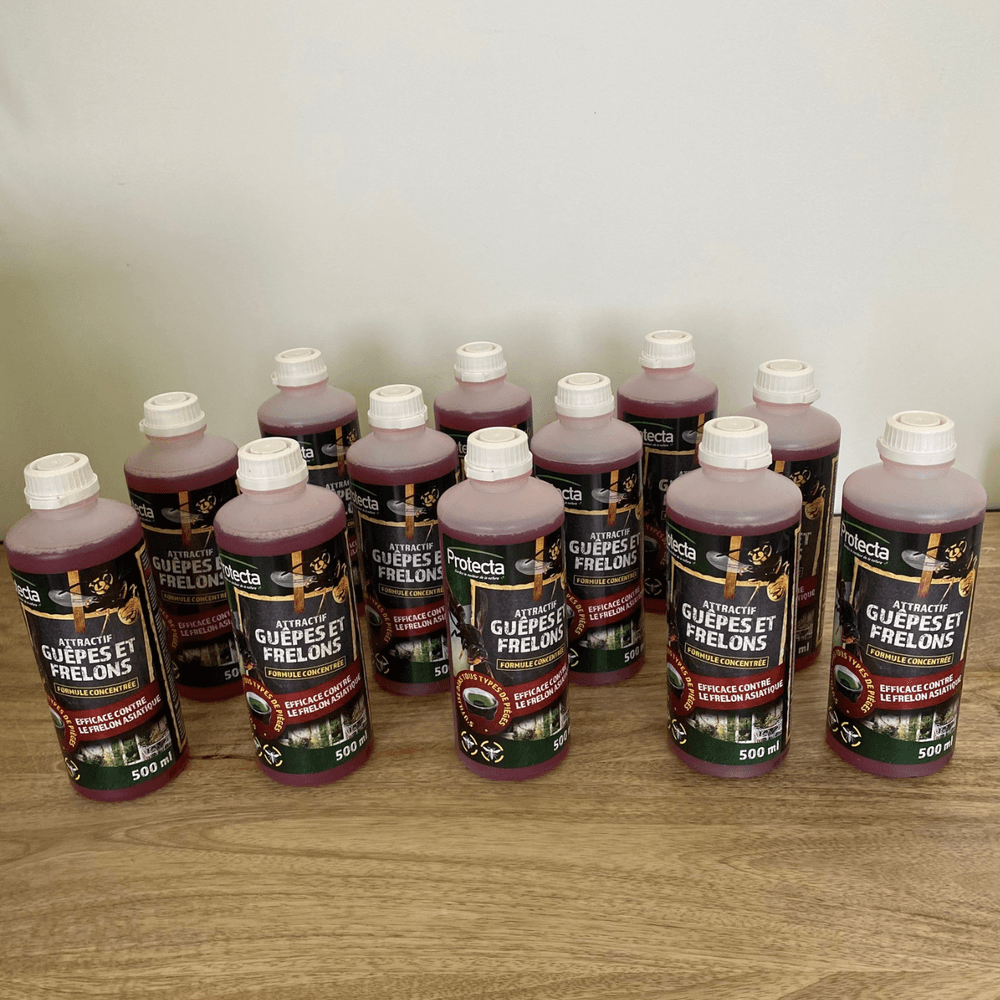 Pack de douze liquides pour pièges à guêpes