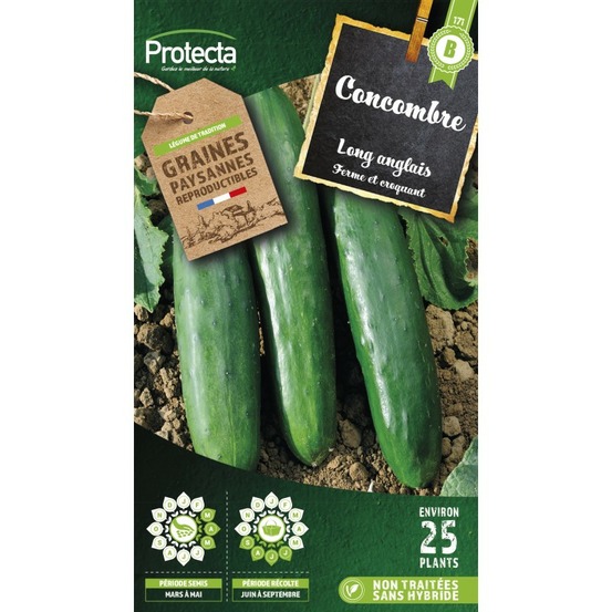 Graines paysannes - concombre vert long anglais