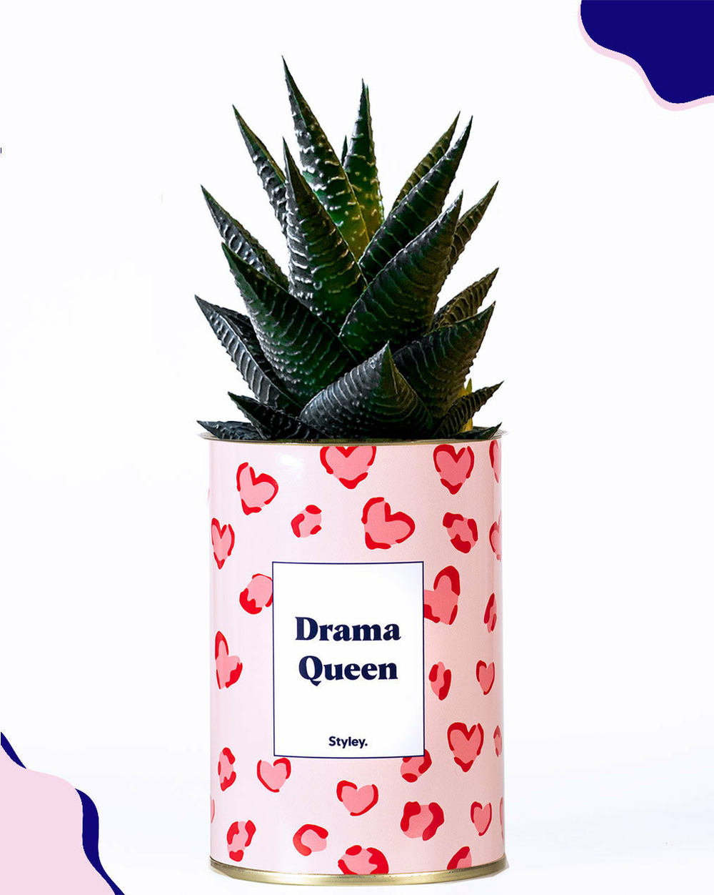 Idée cadeau - drama queen - cactus