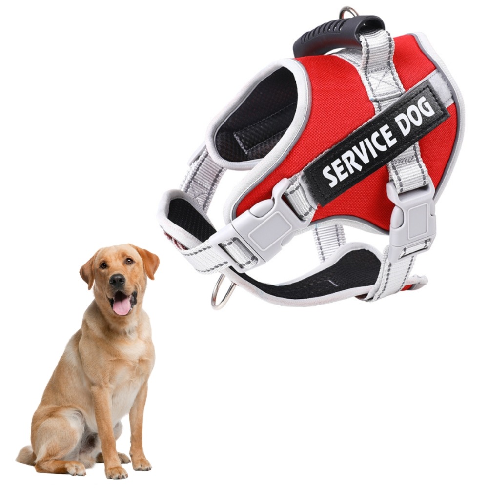 Harnais réfléchissant pour grands chiens s