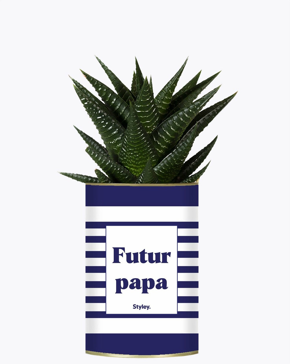 Plante drôle - futur papa - plante