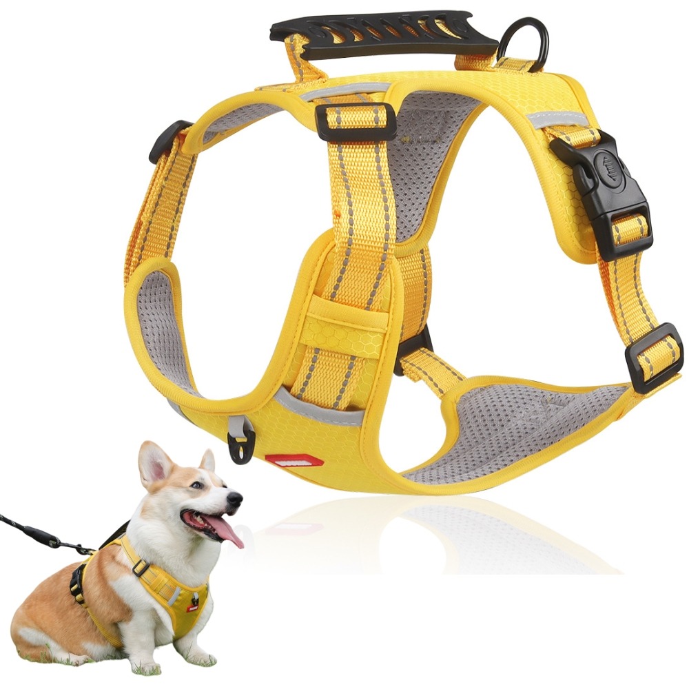 Harnais réfléchissant pour chien xl