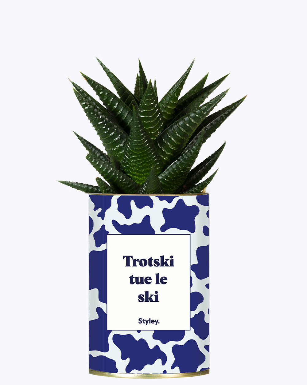 Plante drôle - trotski tue le ski - cactus