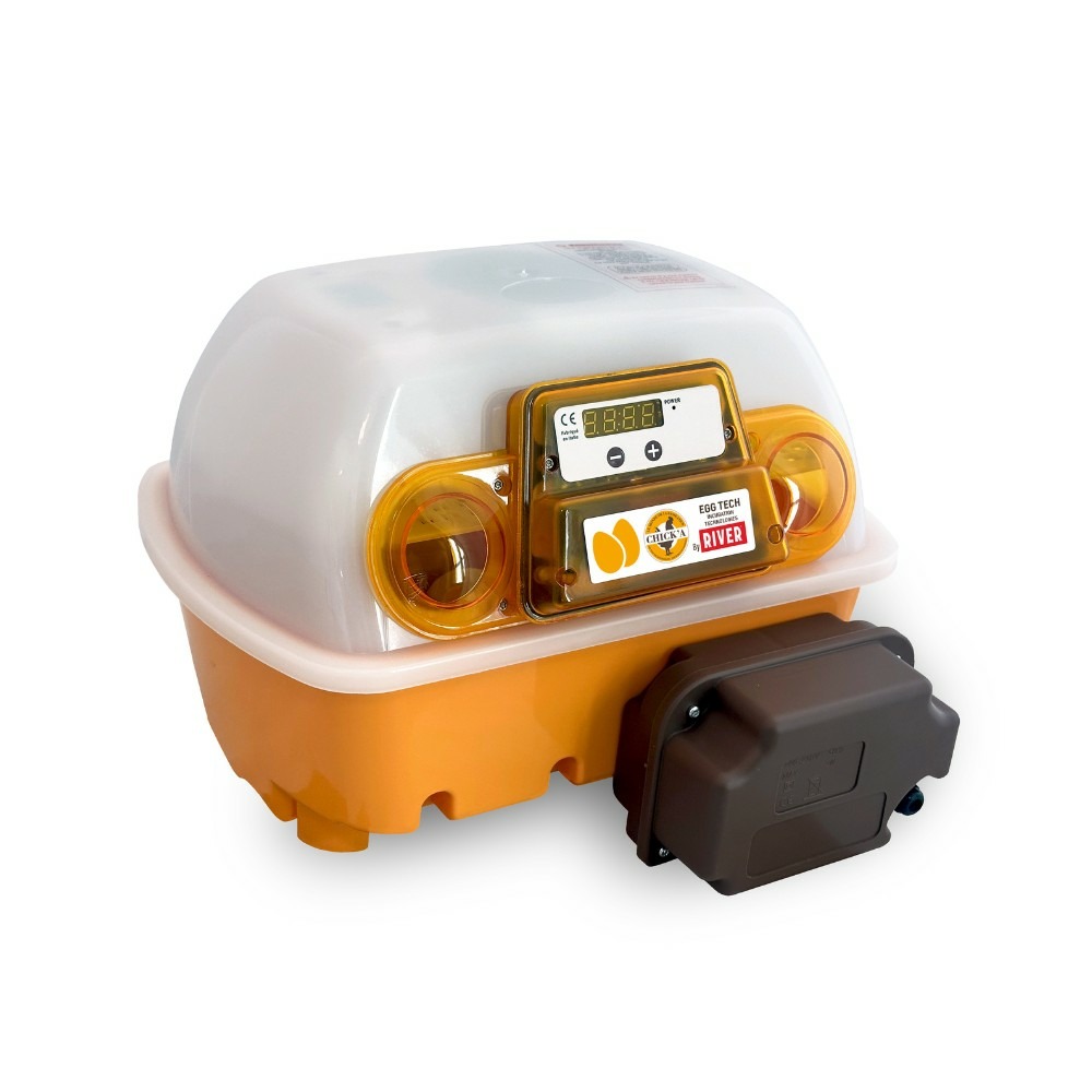 Couveuse automatique 12 œufs