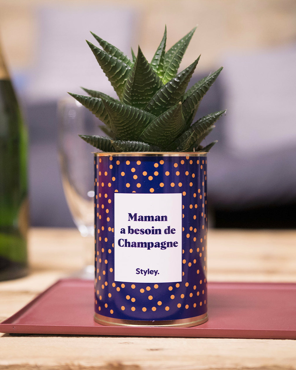 Plante personnalisée - maman a besoin de champagne - cactus