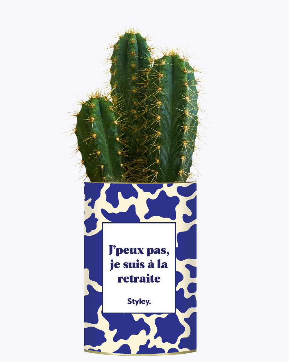Idée cadeau - j'peux pas, je suis à la retraite - cactus