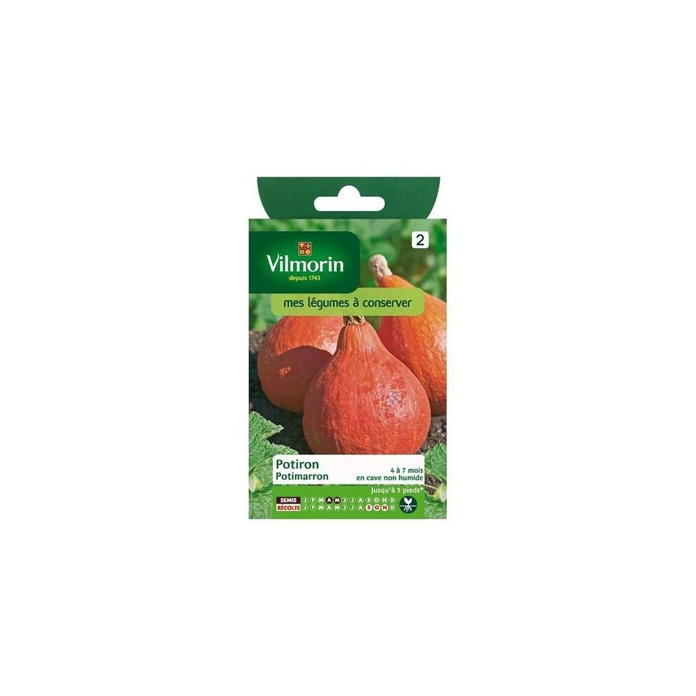 Sachet graines potiron potimarron