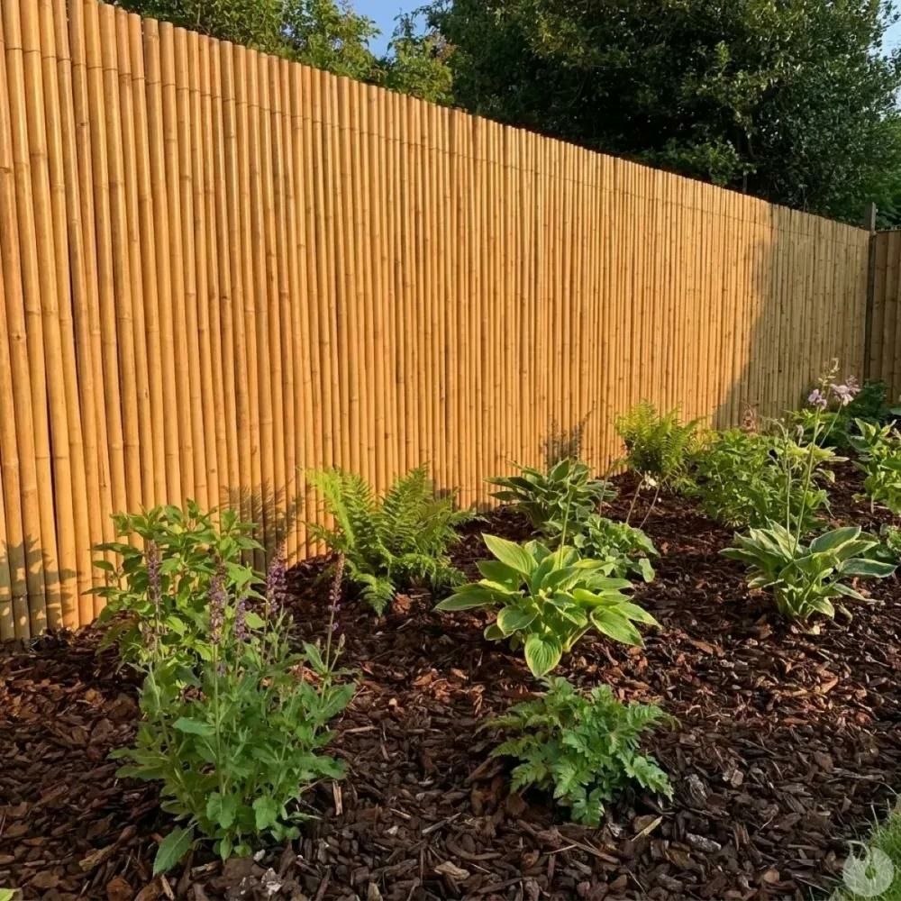 Canisse bambou fendu largeur 5 m hauteur 1,5 m