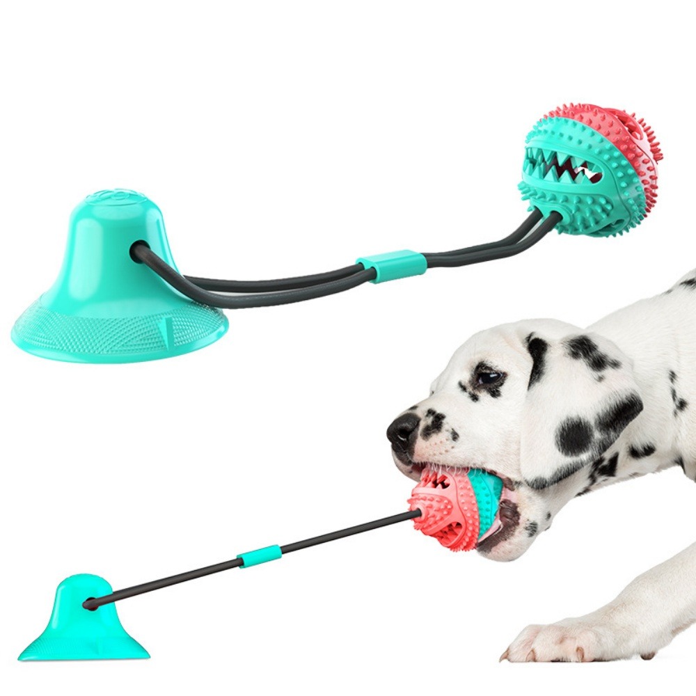 Distributeur de jouets pour chien dtopbuyage avec ventouse