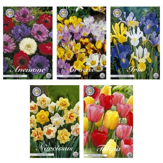 Mélange de fleurs à bulbes - 71 bollen - 5 variétés