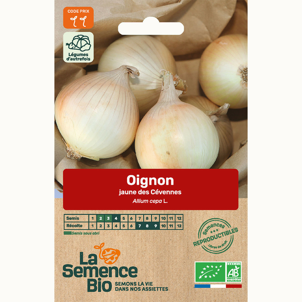 Oignon jaune des cévennes - graines bio