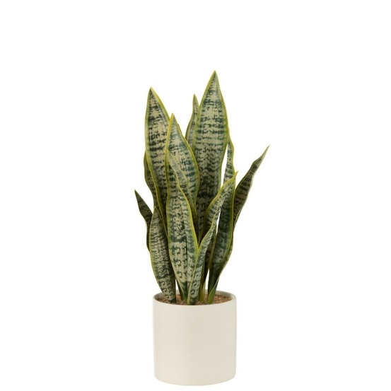 Pot de sansevieria artificiel en plastique vert 8x8x28 cm