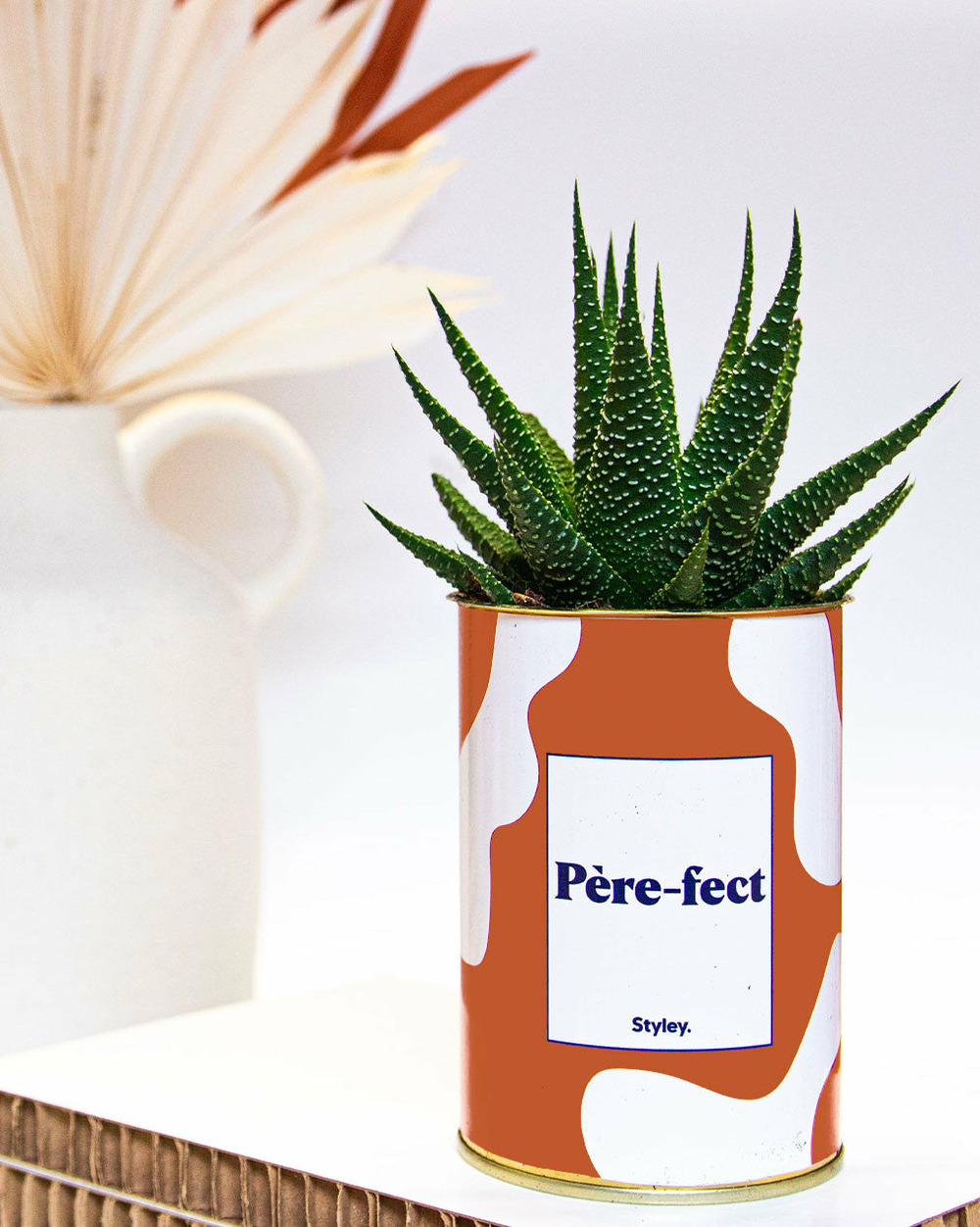 Plante personnalisée - père-fect - cactus