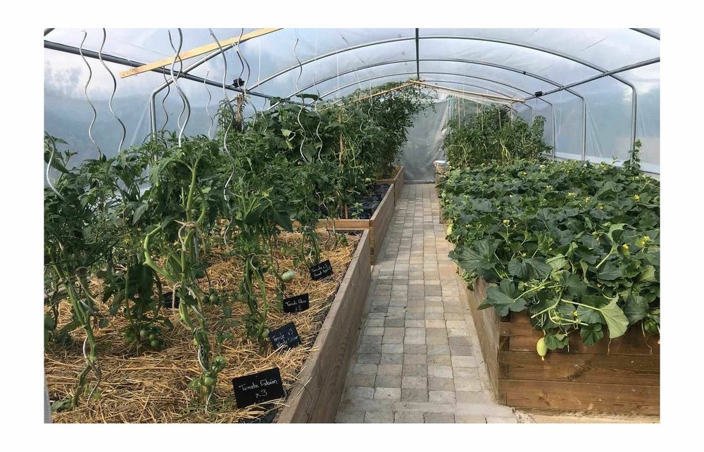 Serre tunnel de jardin - 30m² - 4 x 7,5m - pieds droits - aérations latérales - 4 saisons plus - les serres tonneau