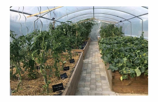 Serre tunnel de jardin - 30m² - 4 x 7,5m - pieds droits - aérations latérales - 4 saisons plus - les serres tonneau