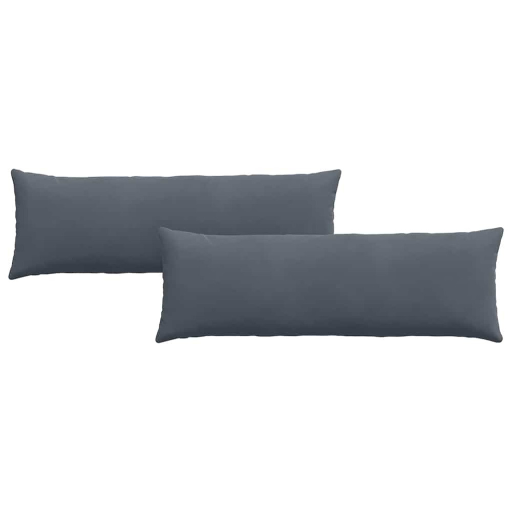 Coussins de canapé 2 pcs gris foncé 120 x 40 cm