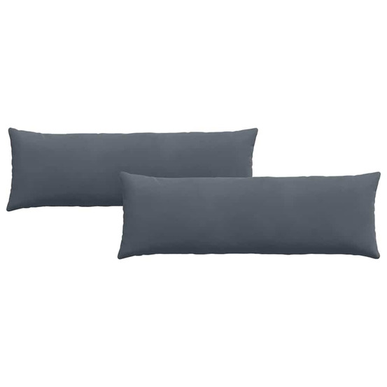Coussins de canapé 2 pcs gris foncé 120 x 40 cm