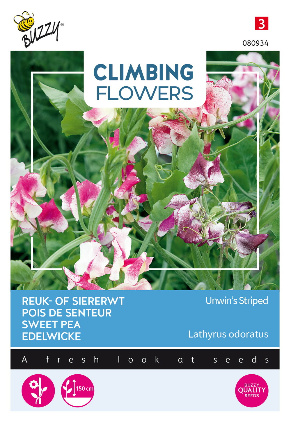 Buzzy climbing flowers, lathyrus unwin's striped - ca. 4 gr (livraison gratuite)