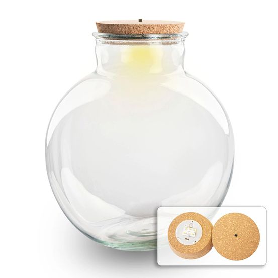Bouteille pour terrarium bolder bob avec bouchon led - h 31 cm