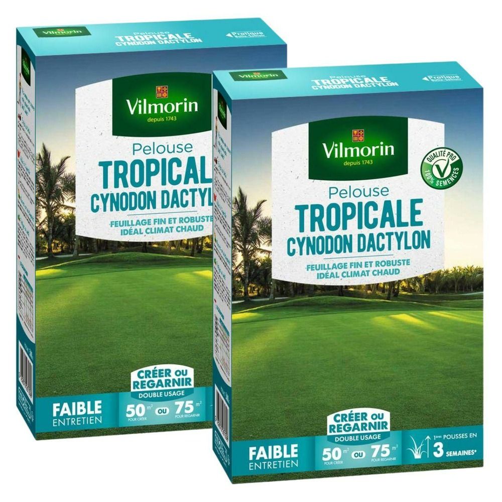 Pelouse tropicale - cynodon dactylon - 500 g (x2)