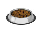 Gamelle chien chat inox 200 gr ø 20 cm • pour l'eau ou les croquettes