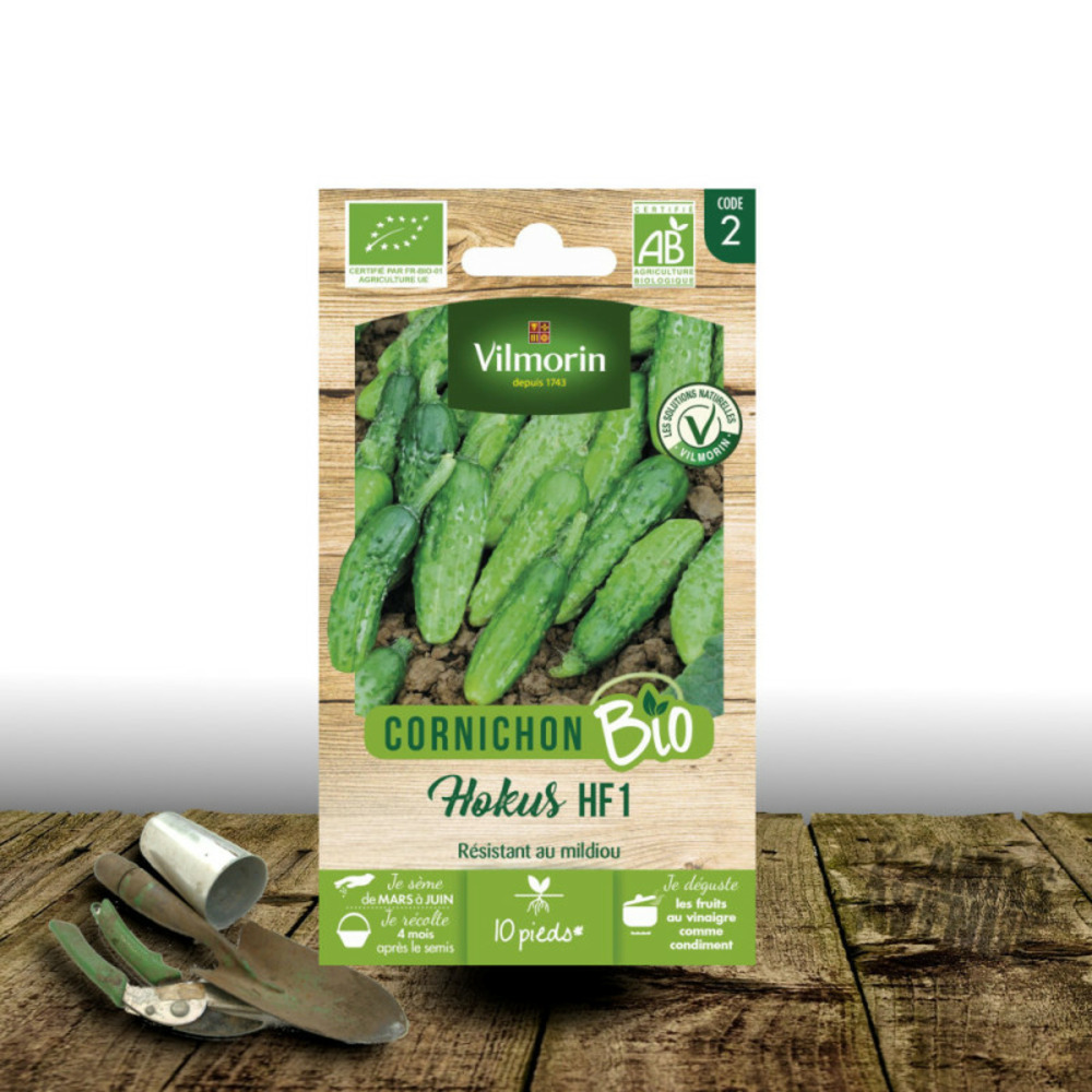 Graines de cornichon hokus - vilmorin sachet