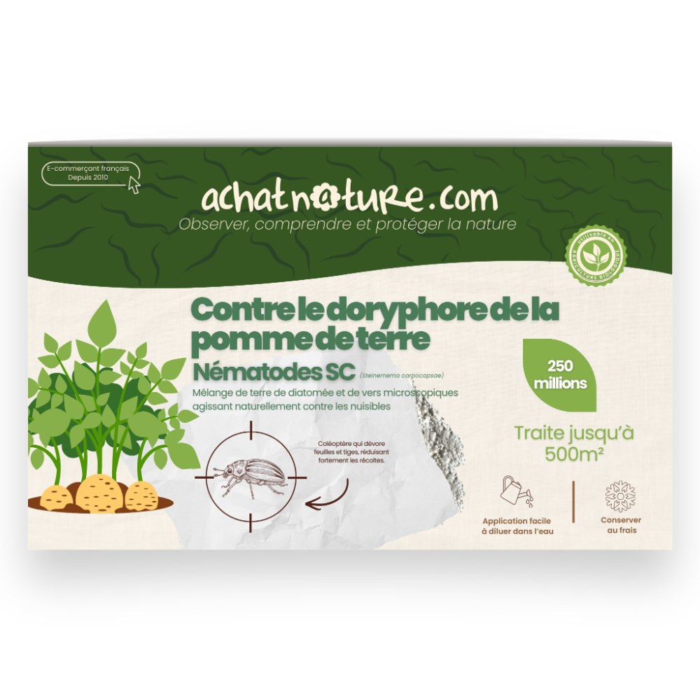 Nématodes sc contre doryphore de la pomme de terre - 250 millions - 500 m²