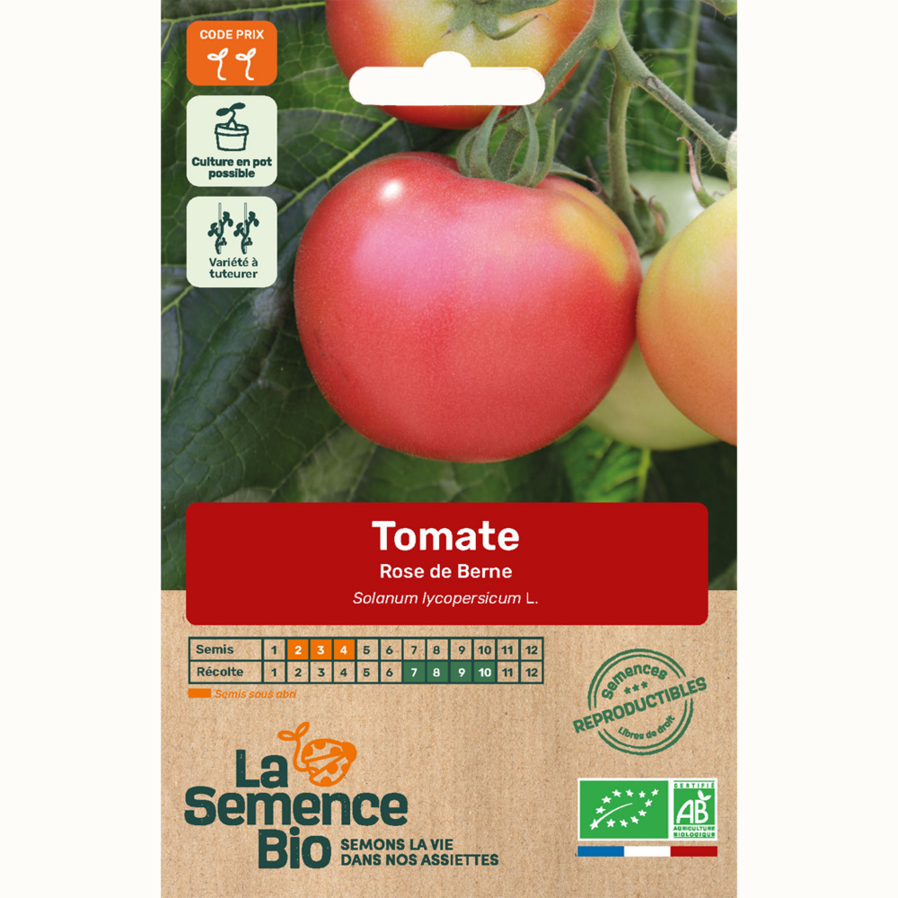 Tomate rose de berne - graines bio