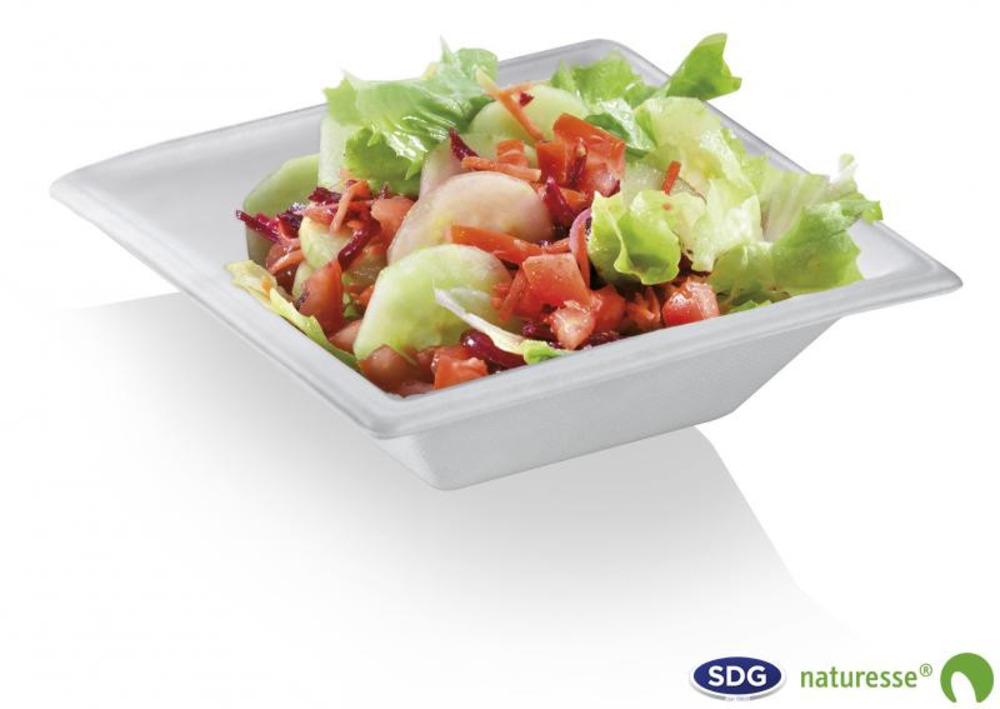 Assiette creuse en pulpe de cellulose elégance 450 ml - sdg - lot de 500