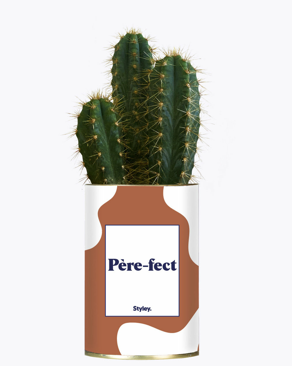 Plante personnalisée - père-fect - cactus