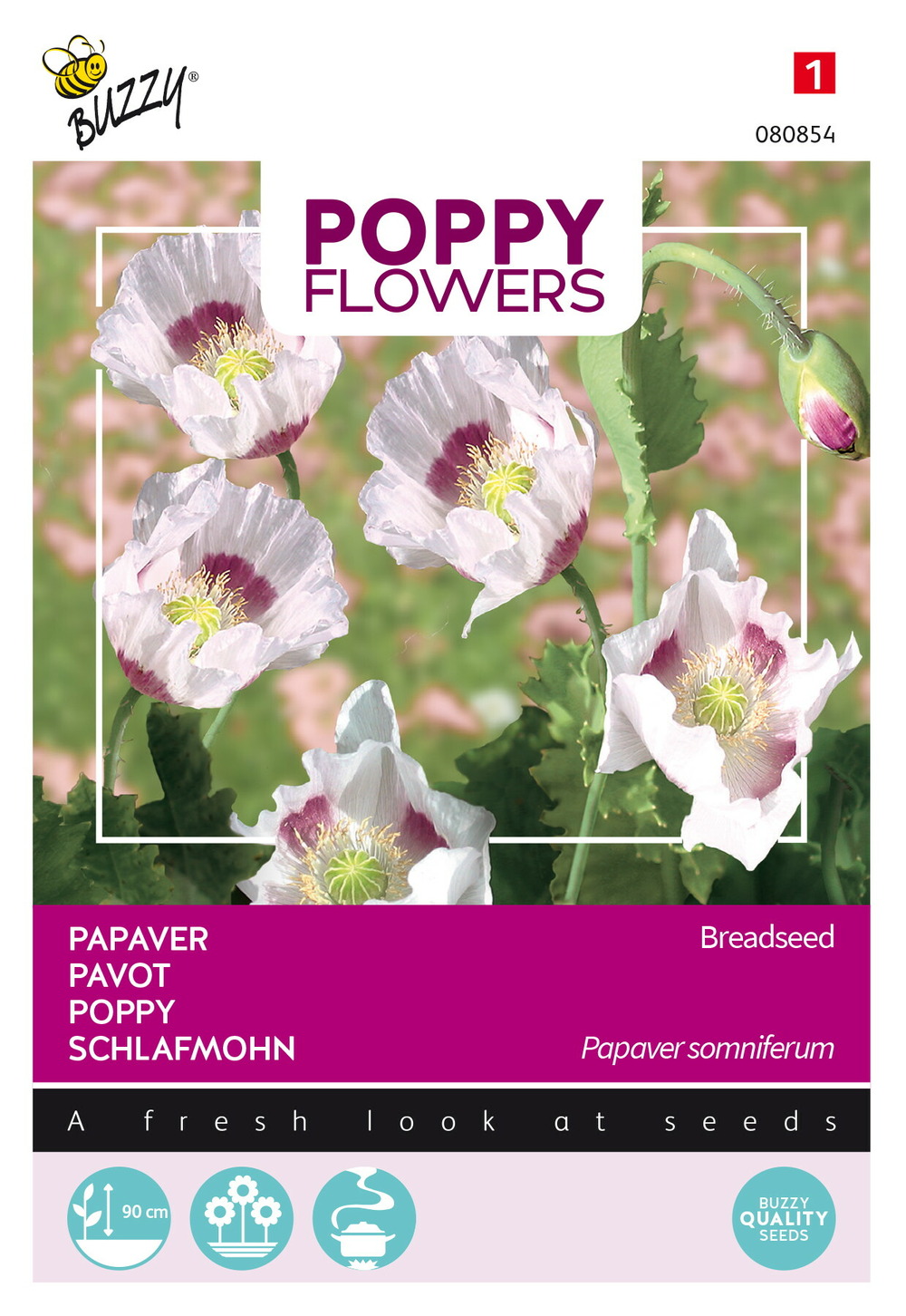 Buzzy poppy flowers pavot des jardins - ca. 1 gr (livraison gratuite)