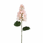 Ptmd fleur artificielle hortensia - 44x26x86 cm - plastique - crème