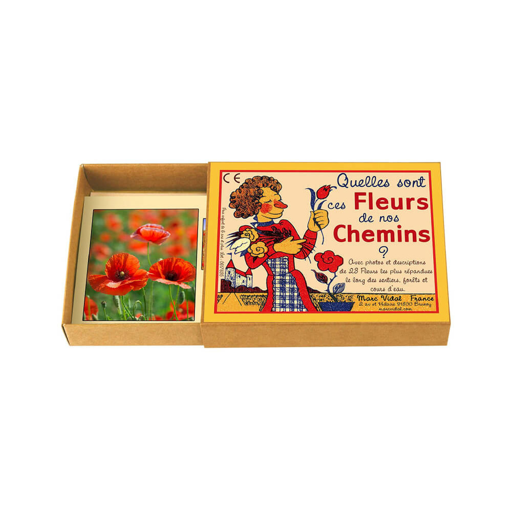 Quelles sont ces fleurs de nos chemins ?