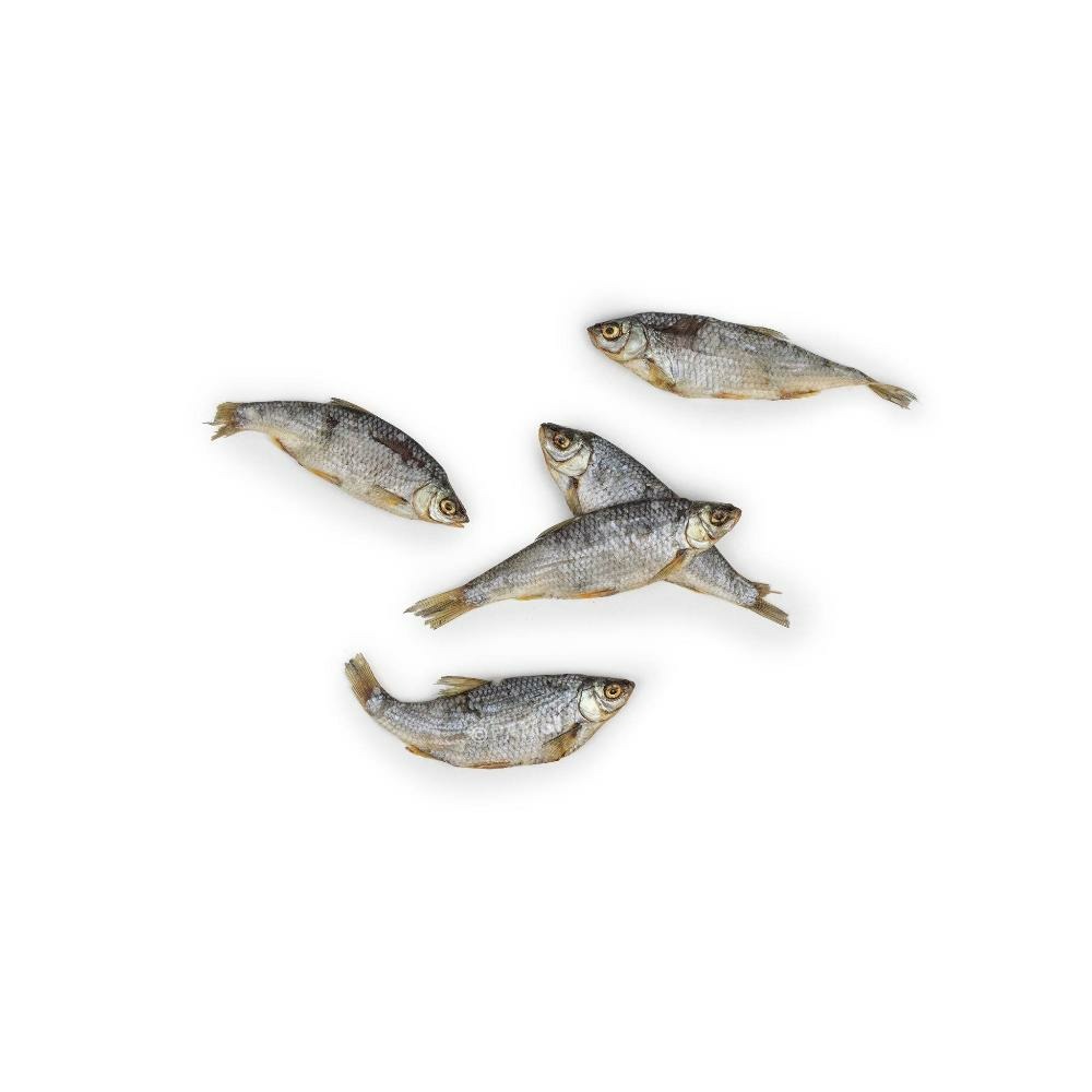 A pet store – gardons – 100g