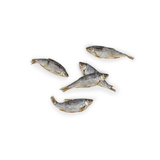 A pet store – gardons – 100g