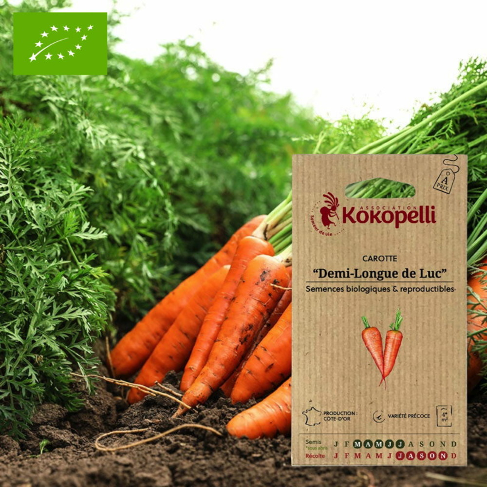 Graines bio à semer - carotte rouge et orange demi-longue de luc