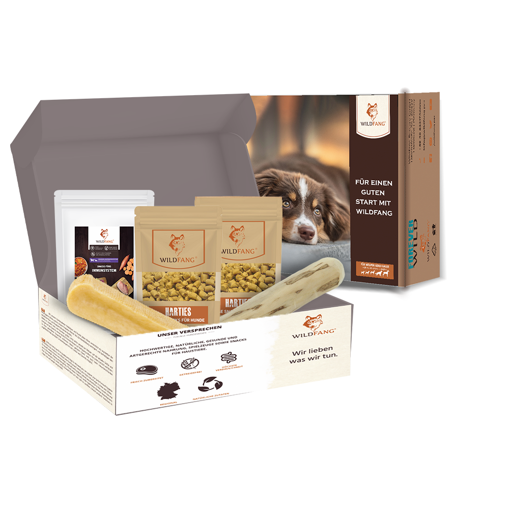 Wildfang - coffret « heure du matin » - l