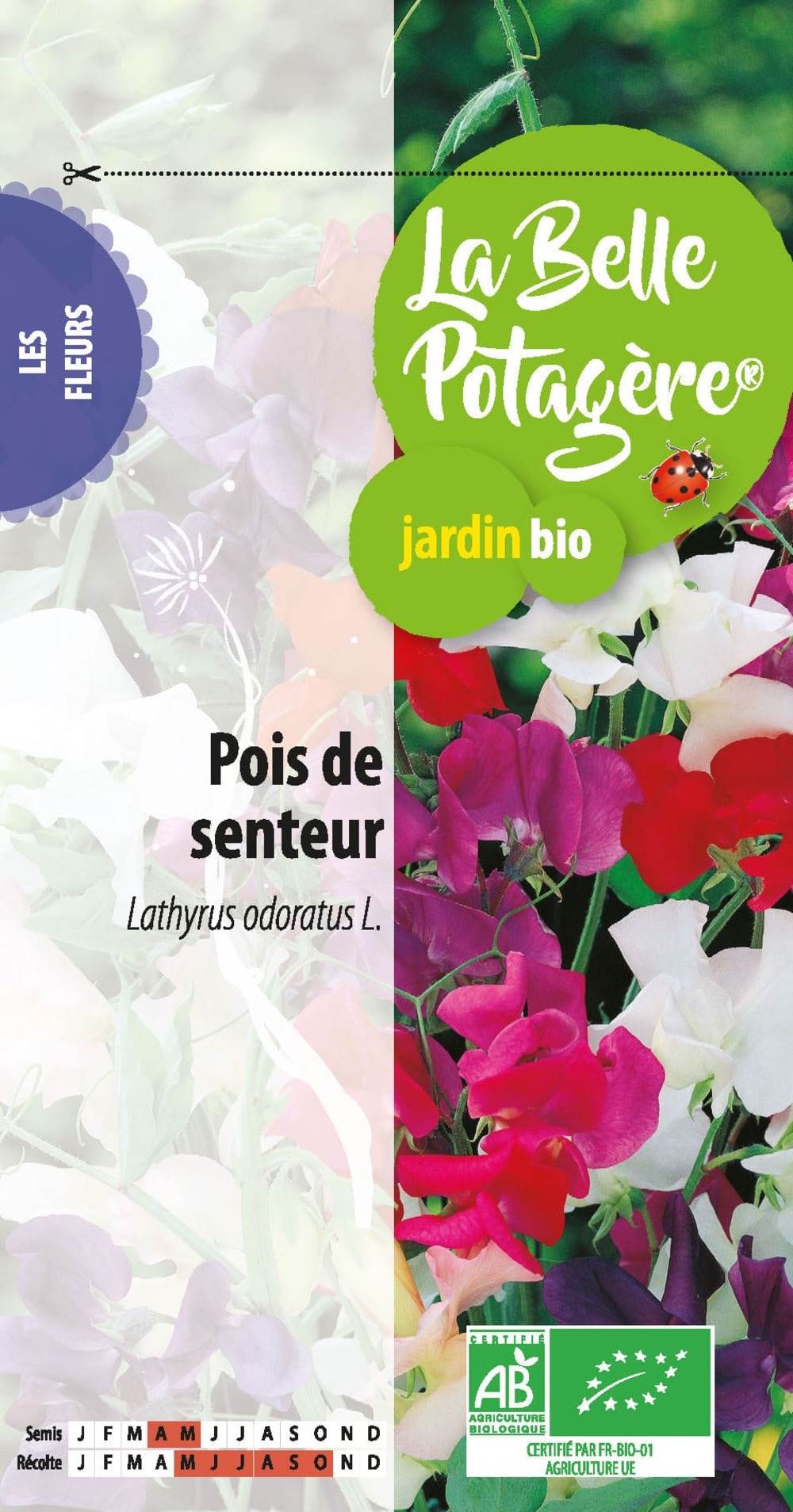 Pois de senteur 2,5 g