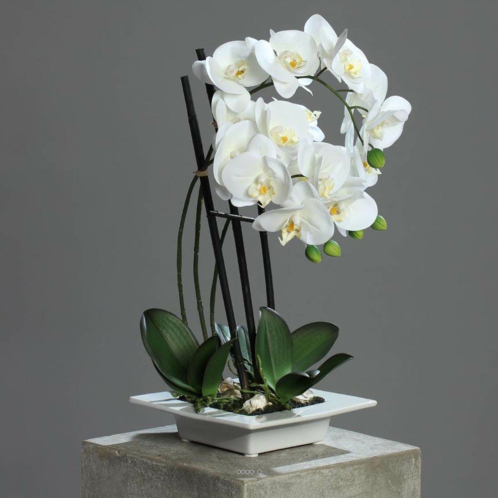 Orchidee factice 3 hampes en coupe ceramique h50cm touché réel crème - couleur: