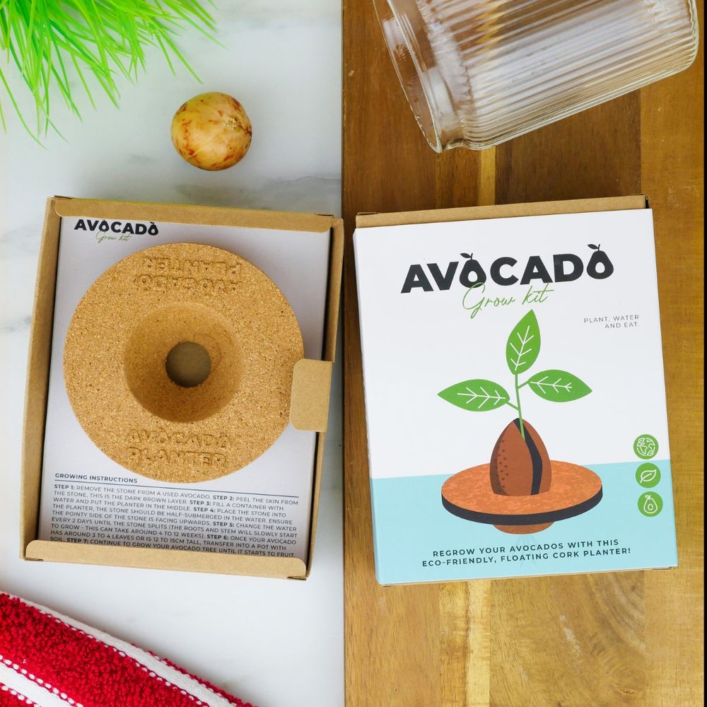 Kit : faire pousser son avocat à la maison