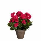 Mica decorations plante artificielle geranium - 27x27x41 cm - pe - rose