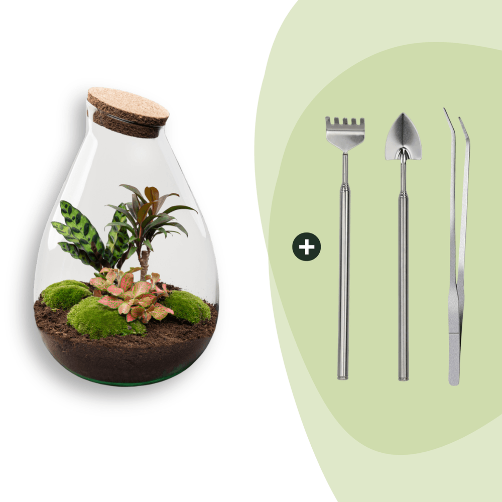 Terrarium à composer goutte en verre recyclé - ø29-h37cm - avec râteau, pelle et pince - variété rouge - terrarium diy