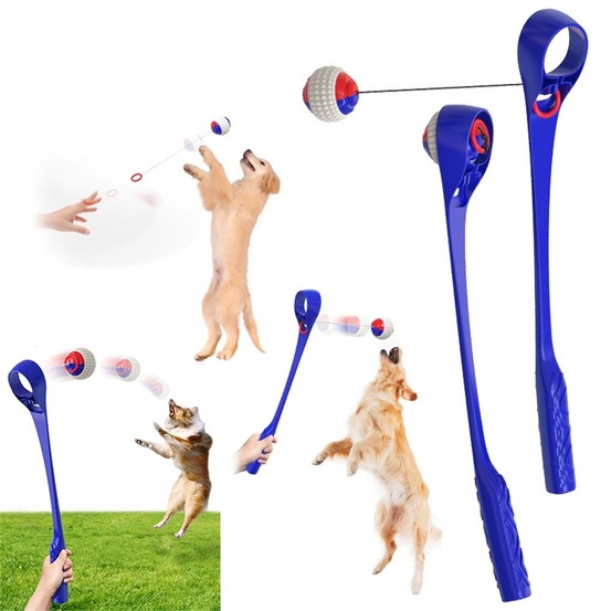 Dtopbuyage jouet interactif pour chien