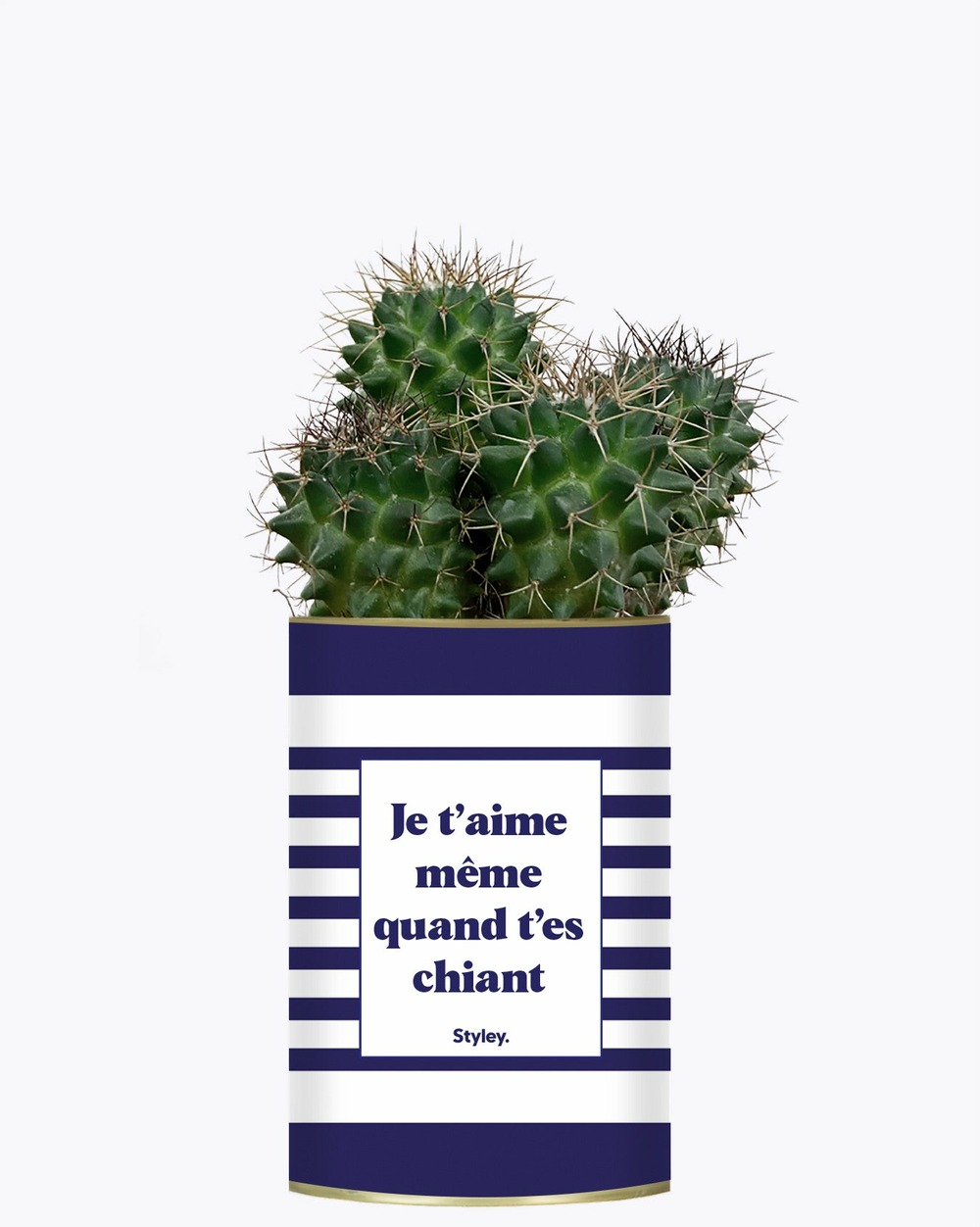 Idée cadeau - je t'aime même quand t'es chiant - cactus