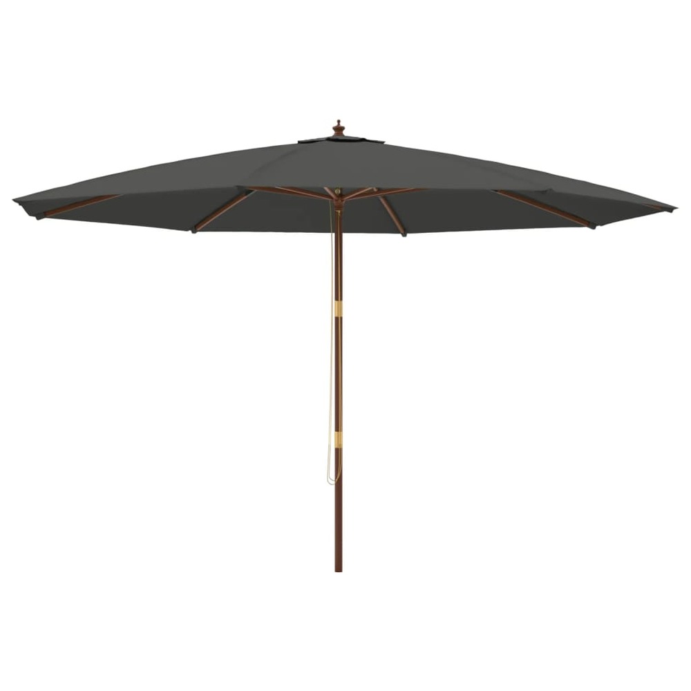 Parasol de jardin avec mât en bois anthracite 400x273 cm